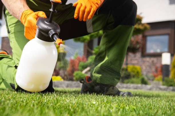 Best Commercial Pest Control Services  in Palo Alto, CA