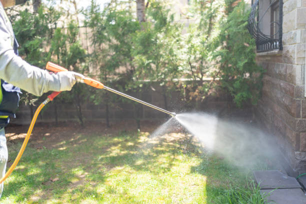 Best Cockroach Control Services  in Palo Alto, CA