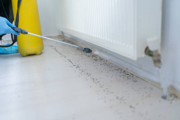Professional Pest Control in Palo Alto, CA