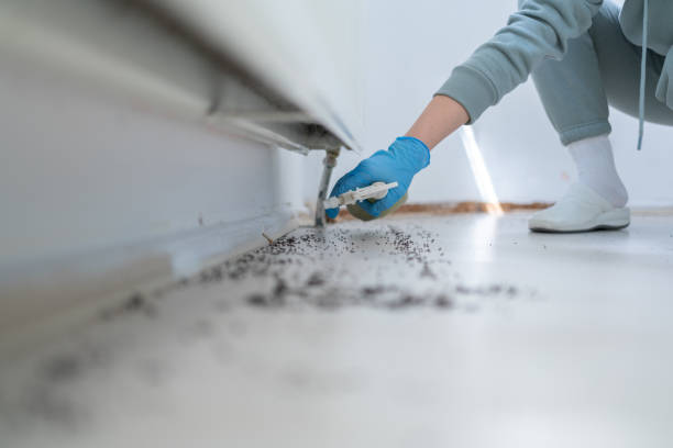 Best Best Pest Control Companies  in Palo Alto, CA